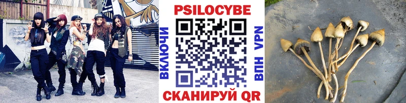 Галлюциногенные грибы ЛСД  Купить закладки  Норильск 